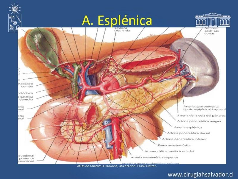 Diapositiva 41 de Damage Control Surgery (técnica quirúrgica) pt. 3