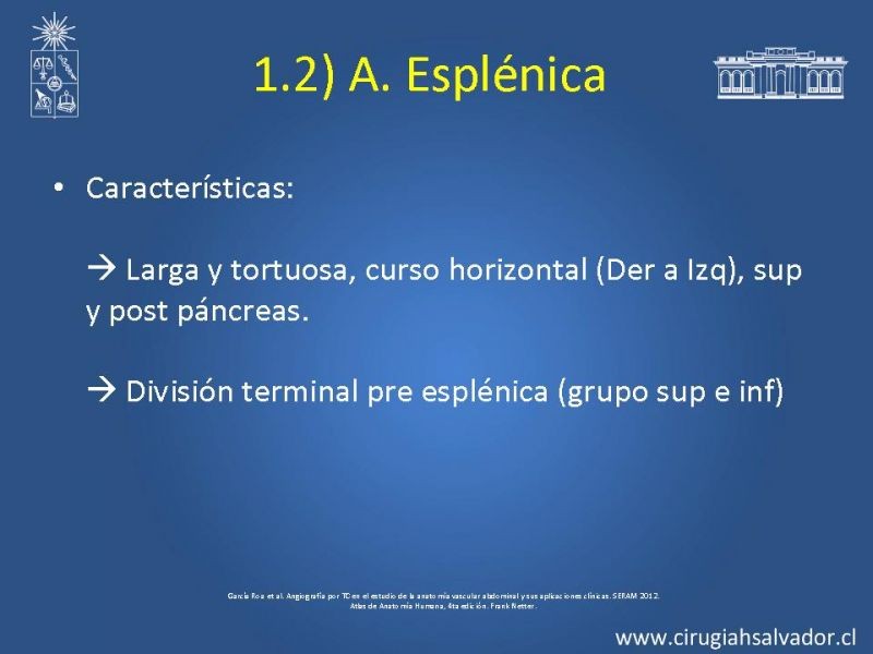Diapositiva 39 de Damage Control Surgery (técnica quirúrgica) pt. 3