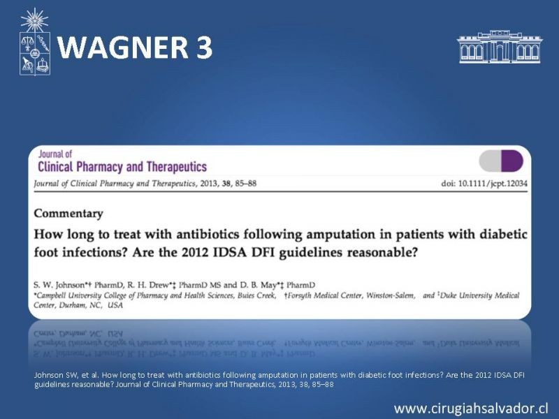 Diapositiva 17 de Pie diabético: Manejo