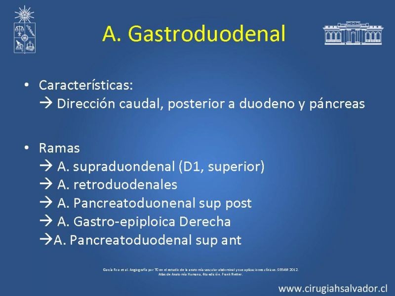 Diapositiva 35 de Damage Control Surgery (técnica quirúrgica) pt. 3
