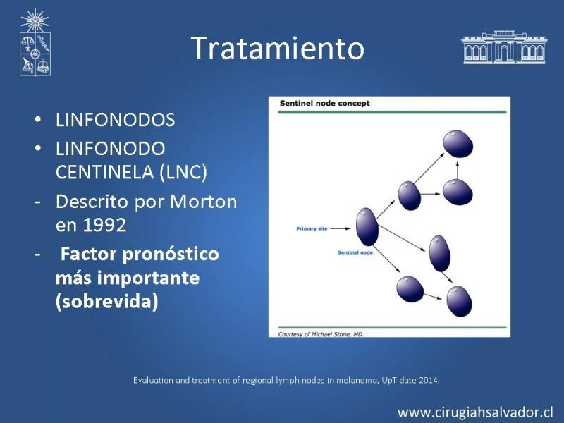 Diapositiva 16 de Melanoma