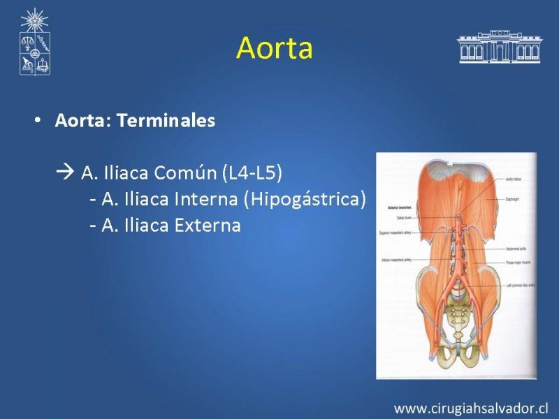 Diapositiva 32 de Damage Control Surgery (técnica quirúrgica) pt. 3