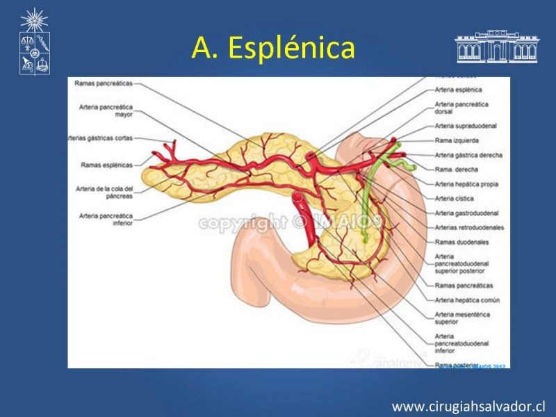 Diapositiva 42 de Damage Control Surgery (técnica quirúrgica) pt. 3
