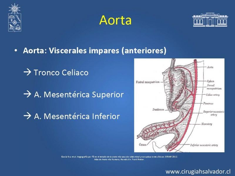 Diapositiva 31 de Damage Control Surgery (técnica quirúrgica) pt. 3