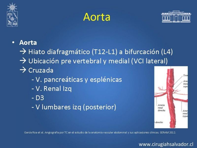 Diapositiva 26 de Damage Control Surgery (técnica quirúrgica) pt. 3