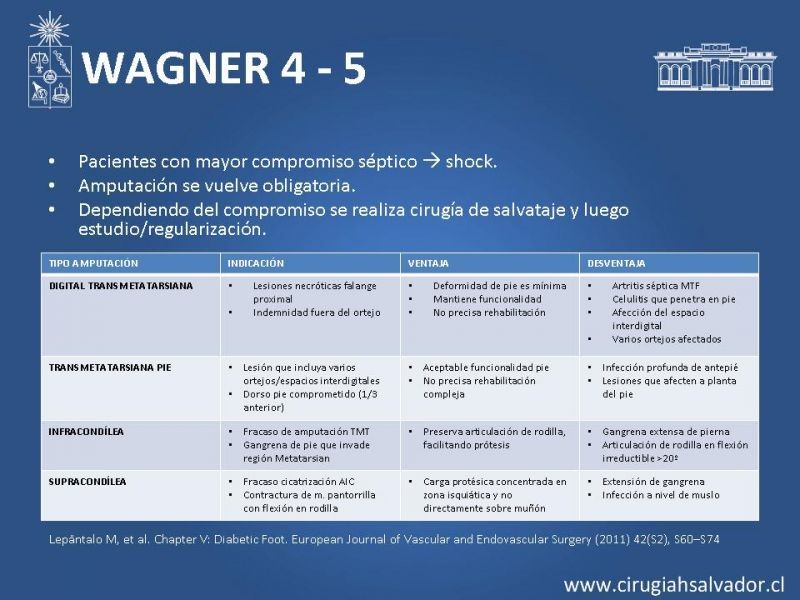 Diapositiva 19 de Pie diabético: Manejo