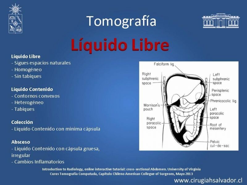 Diapositiva 37 de Anatomía Quirúrgica y Radiología Aplicada