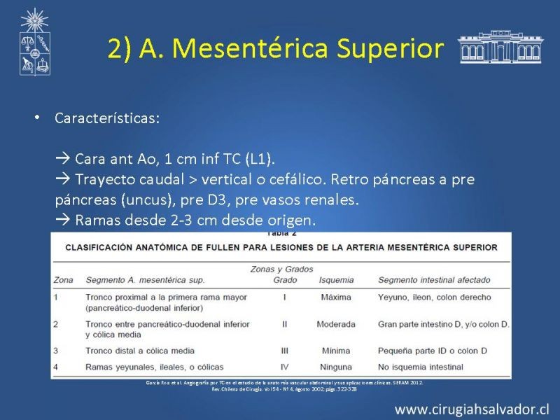 Diapositiva 27 de Anatomía e Imagenología Vascular Arterial Intra-abdominal