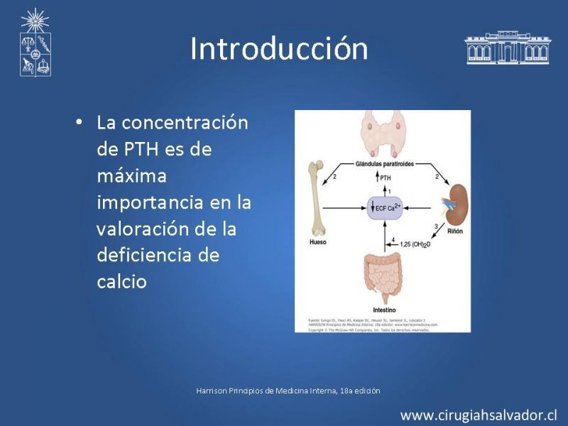 Diapositiva 5 de Hipocalcemia Post Cirugía Tiroídea 