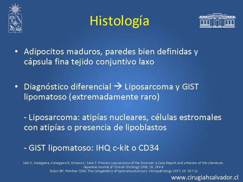 Diapositiva 3 de Lipoma Gástrico