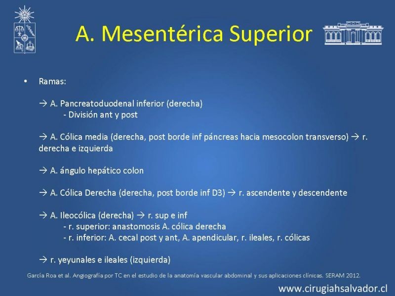 Diapositiva 30 de Anatomía e Imagenología Vascular Arterial Intra-abdominal