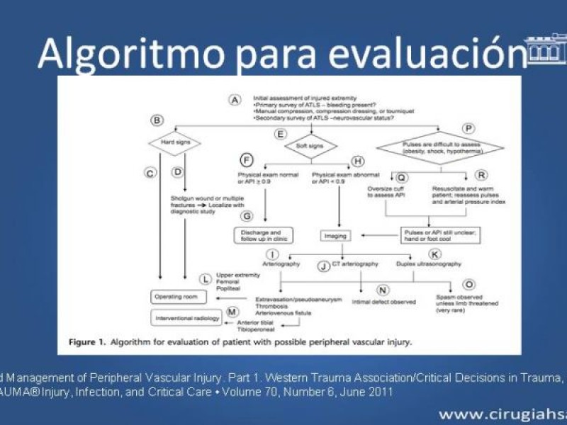 Diapositiva 19 de Trauma Vascular: Extremidades inferiores