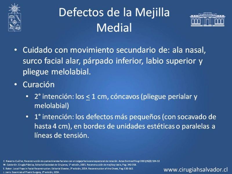 Diapositiva 26 de Reconstrucción peribucal