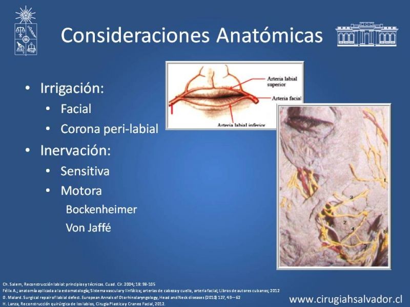 Diapositiva 4 de Reconstrucción peribucal