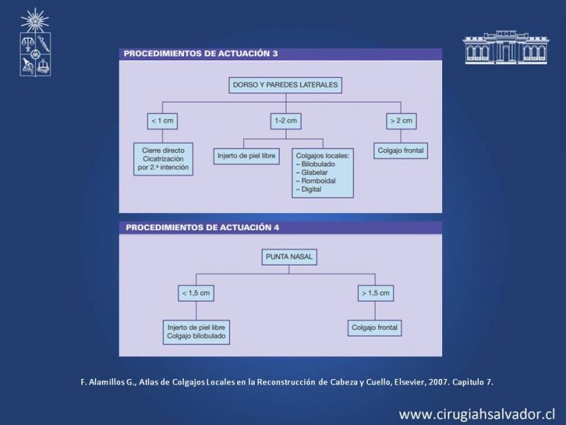 Diapositiva 37 de Reconstrucción Nasal
