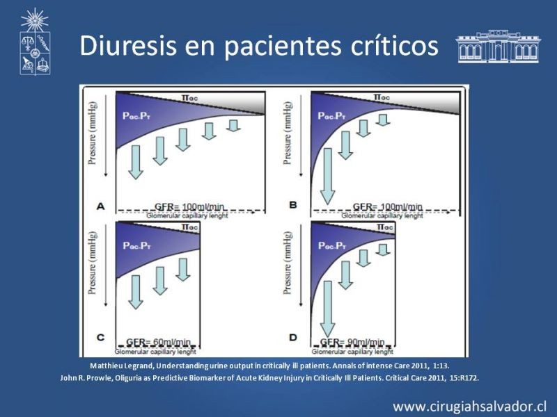 Diapositiva 6 de Manejo de la Oliguria