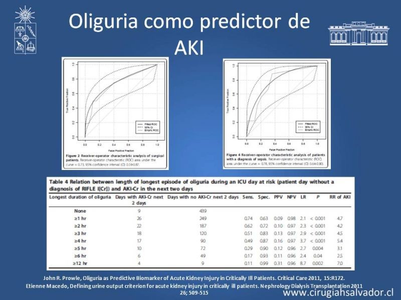 Diapositiva 15 de Manejo de la Oliguria