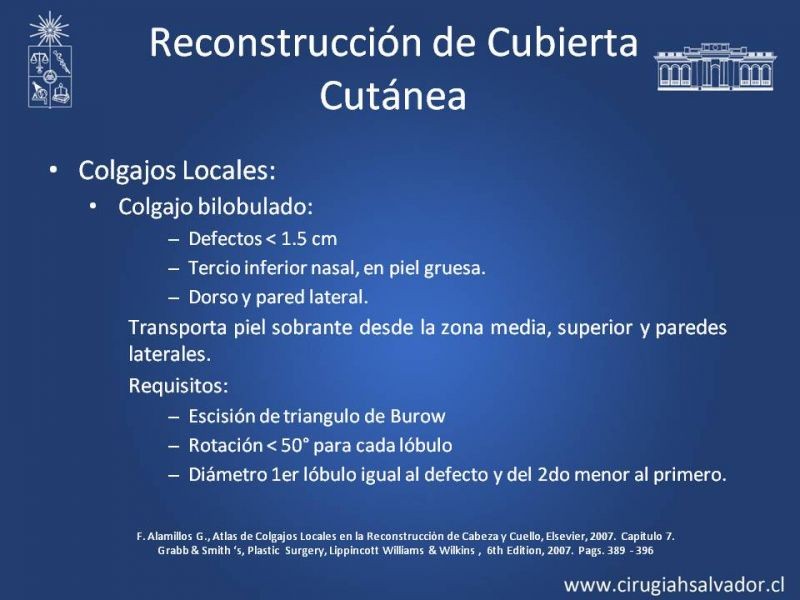 Diapositiva 13 de Reconstrucción Nasal