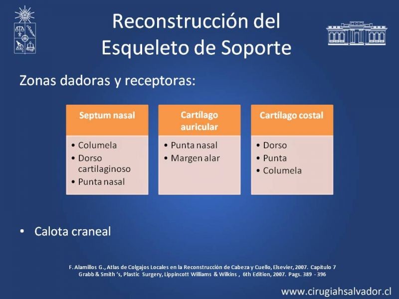 Diapositiva 27 de Reconstrucción Nasal