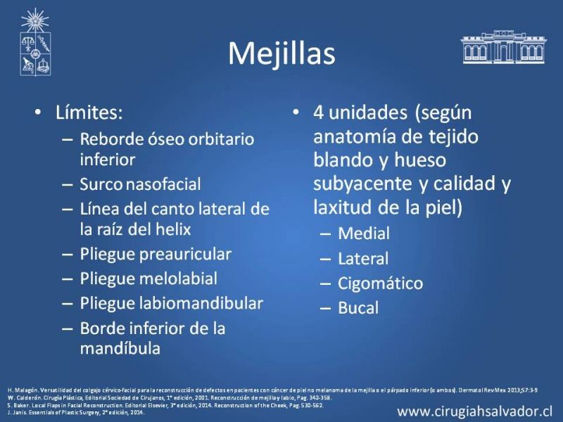 Diapositiva 23 de Reconstrucción peribucal