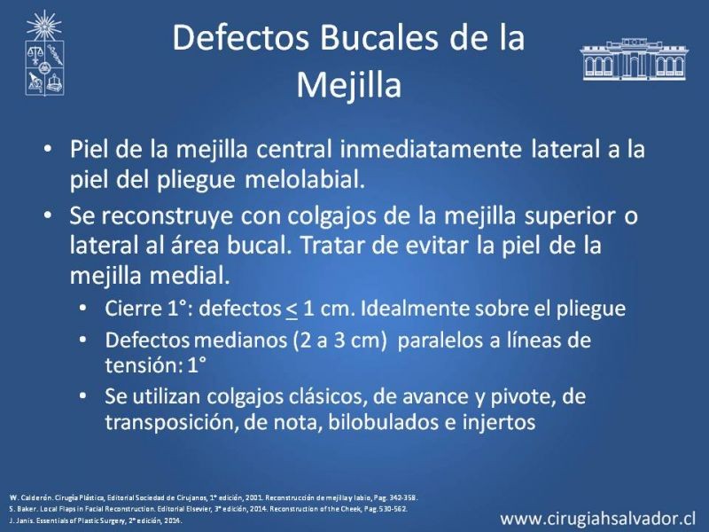 Diapositiva 48 de Reconstrucción peribucal
