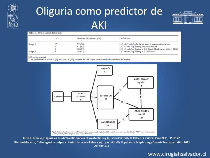Diapositiva 20 de Manejo de la Oliguria