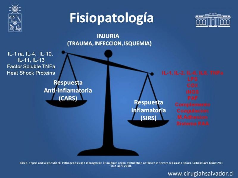 Diapositiva 3 de Síndrome de Disfunción Orgánica Múltiple