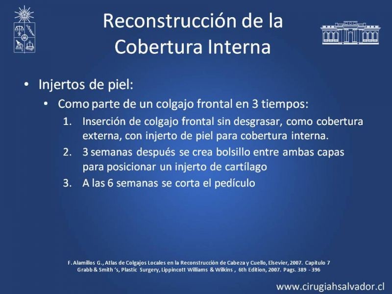 Diapositiva 34 de Reconstrucción Nasal