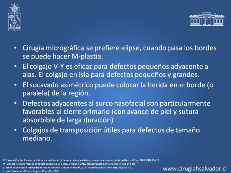 Diapositiva 27 de Reconstrucción peribucal