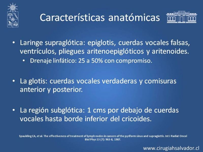 Diapositiva 4 de Cáncer de Laringe