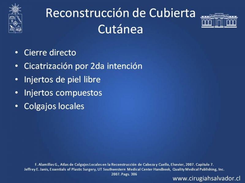 Diapositiva 8 de Reconstrucción Nasal