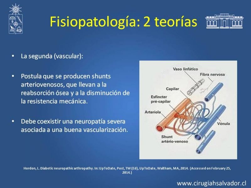 Diapositiva 6 de Diagnostico y manejo de artropatia de Charcot
