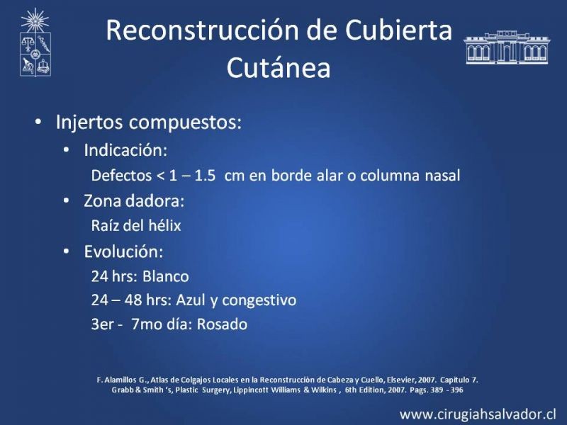 Diapositiva 12 de Reconstrucción Nasal