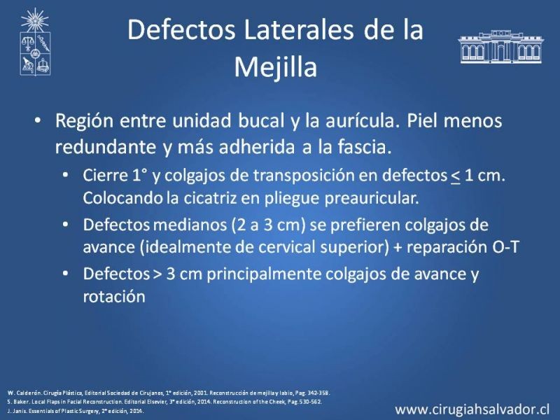 Diapositiva 49 de Reconstrucción peribucal