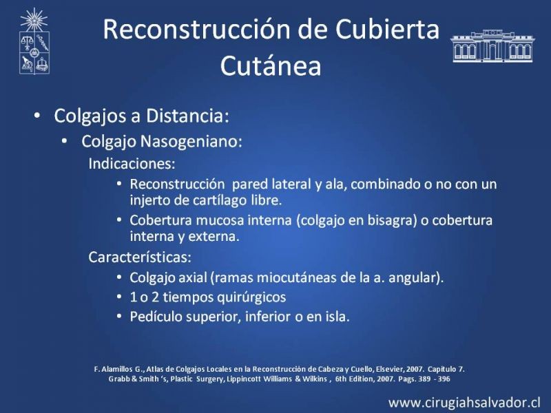 Diapositiva 19 de Reconstrucción Nasal
