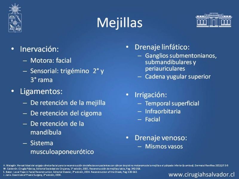 Diapositiva 24 de Reconstrucción peribucal
