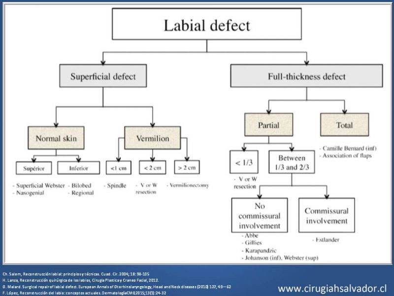 Diapositiva 19 de Reconstrucción peribucal