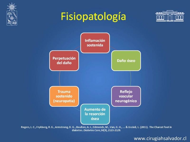 Diapositiva 7 de Diagnostico y manejo de artropatia de Charcot