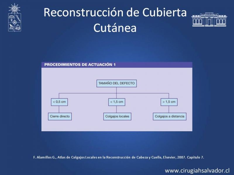 Diapositiva 36 de Reconstrucción Nasal
