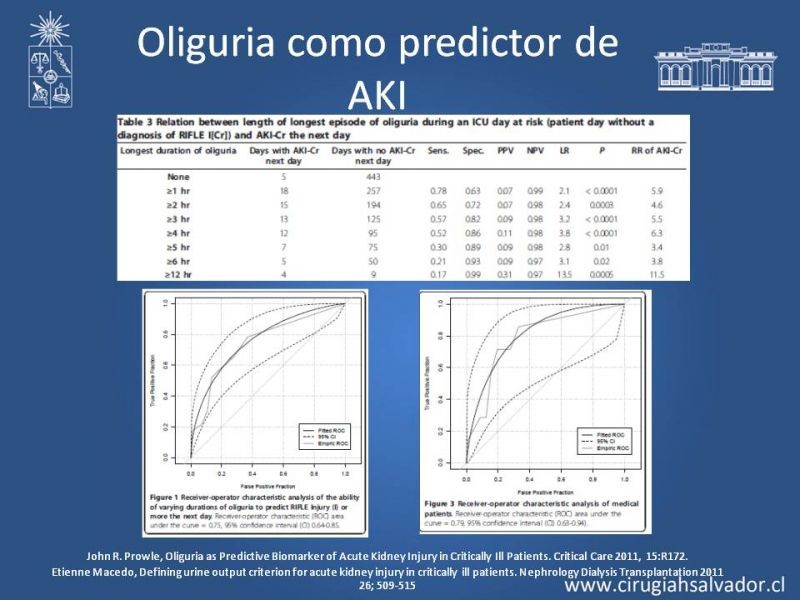 Diapositiva 14 de Manejo de la Oliguria