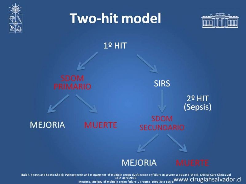 Diapositiva 4 de Síndrome de Disfunción Orgánica Múltiple