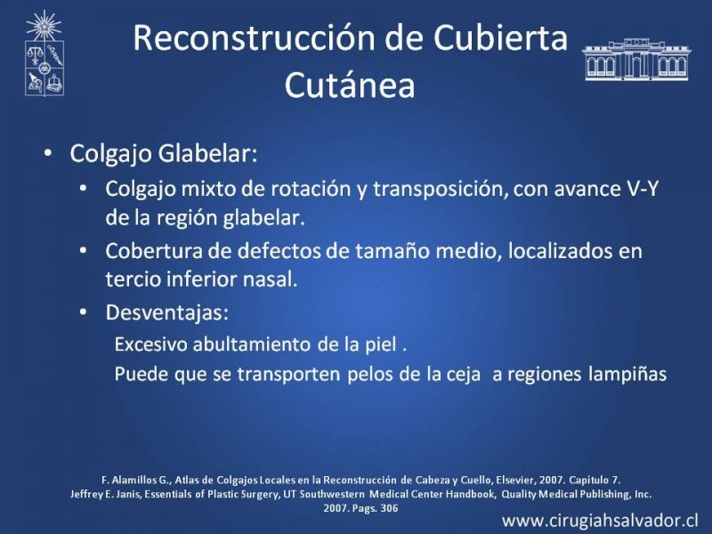 Diapositiva 15 de Reconstrucción Nasal