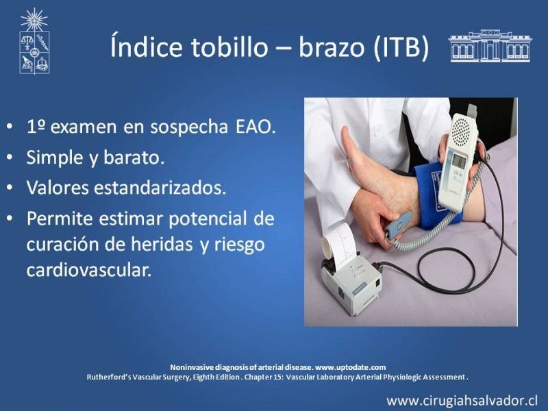Diapositiva 7 de Laboratorio vascular