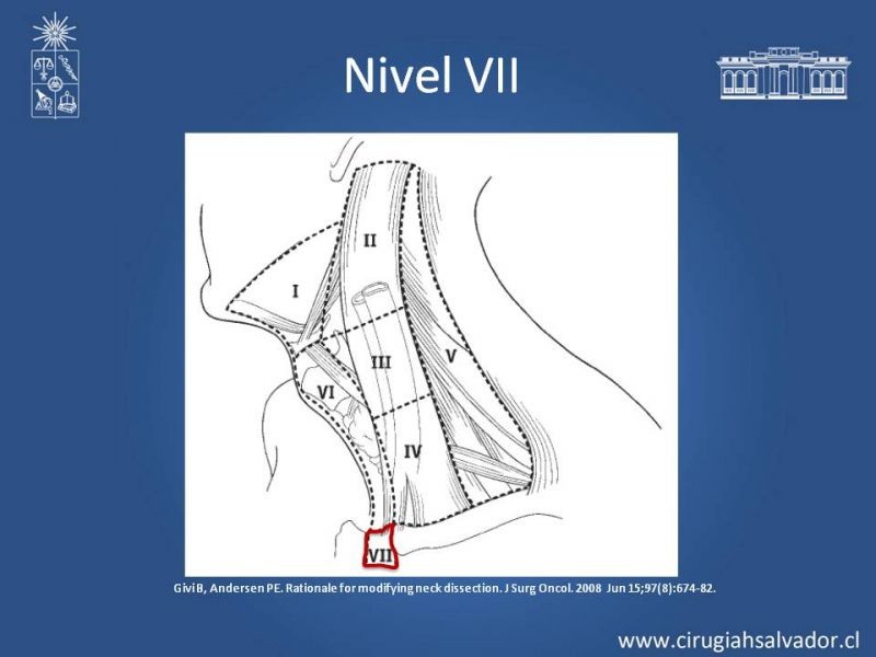 Diapositiva 34 de Técnica quirúrgica en disección cervical radical modificada