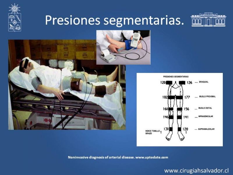 Diapositiva 5 de Laboratorio vascular