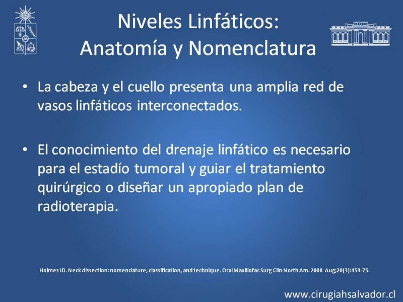 Diapositiva 6 de Técnica quirúrgica en disección cervical radical modificada