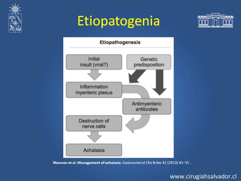 Diapositiva 3 de Manejo Acalasia