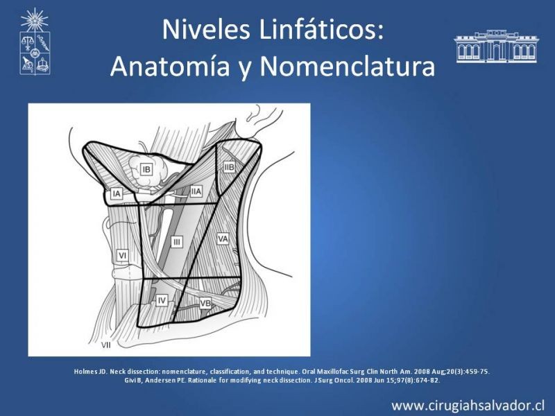 Diapositiva 7 de Técnica quirúrgica en disección cervical radical modificada