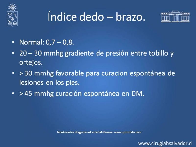 Diapositiva 11 de Laboratorio vascular