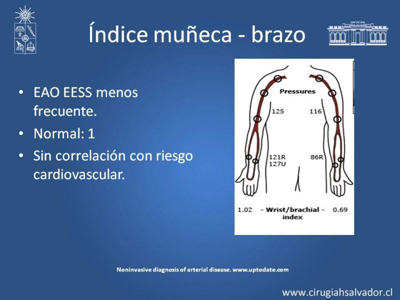 Diapositiva 10 de Laboratorio vascular